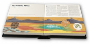 Illustration: Microbial Mats