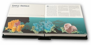 Illustration: Simple Animals