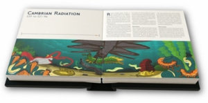 Illustration: Cambrian Radiation