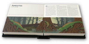 Illustration: Amniotes