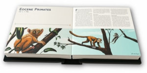 Illustration: Tarsiers