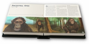 Illustration: Ancestral Apes